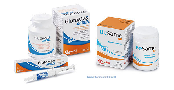 글루타막스(좌) / 베사메(우)