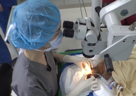 해마루동물병원으로 이송돼 수술 중인 땡큐