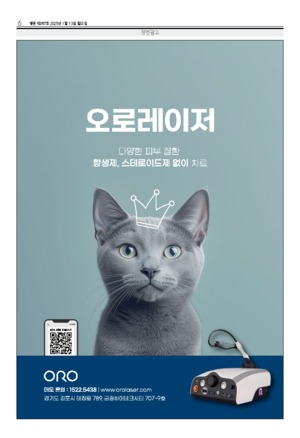 06면